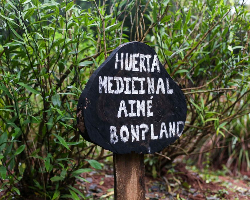 Aimé Bonpland medicinal garden