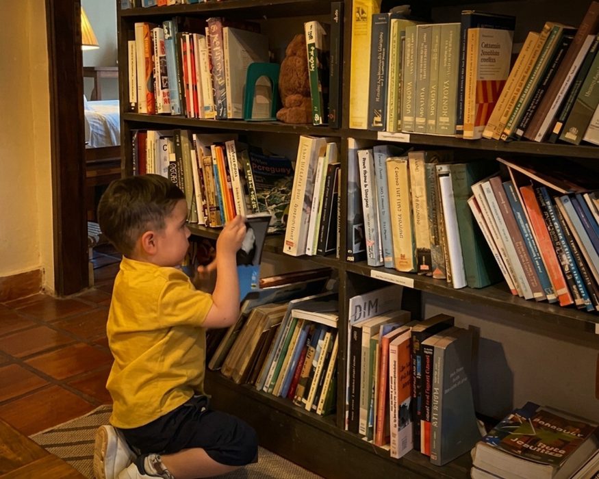 Child choosing a book in the library