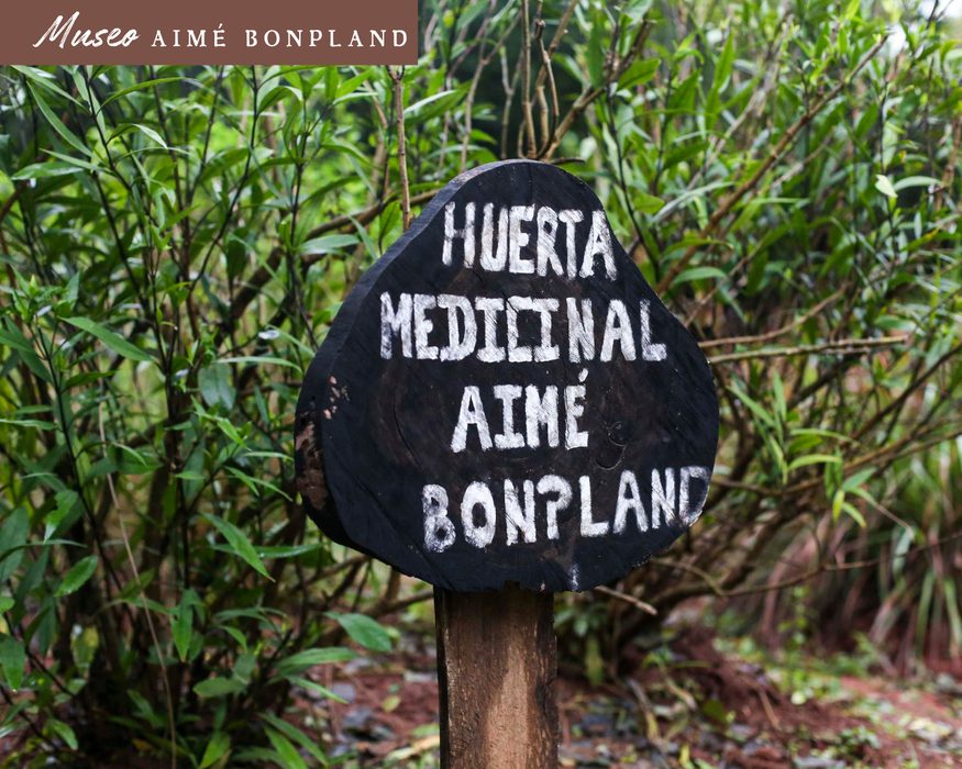 Aimé Bonpland Museum, medicinal garden