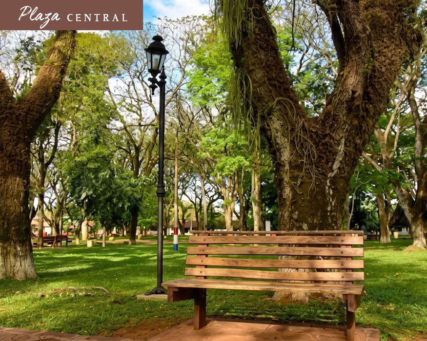Central Square, bench under the trees