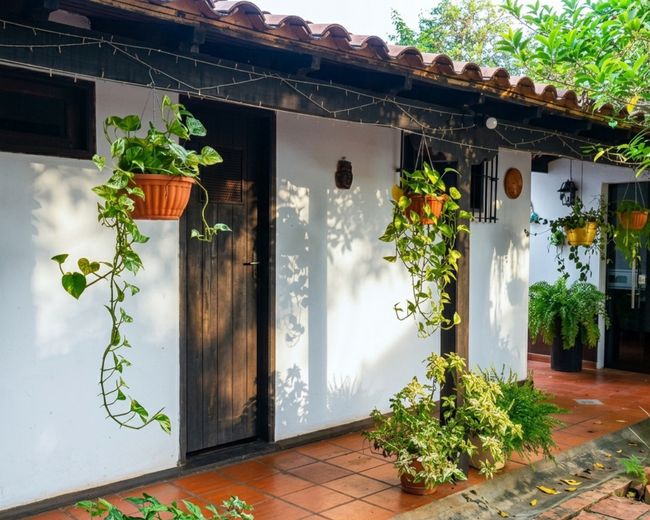 Corridor with hanging plants